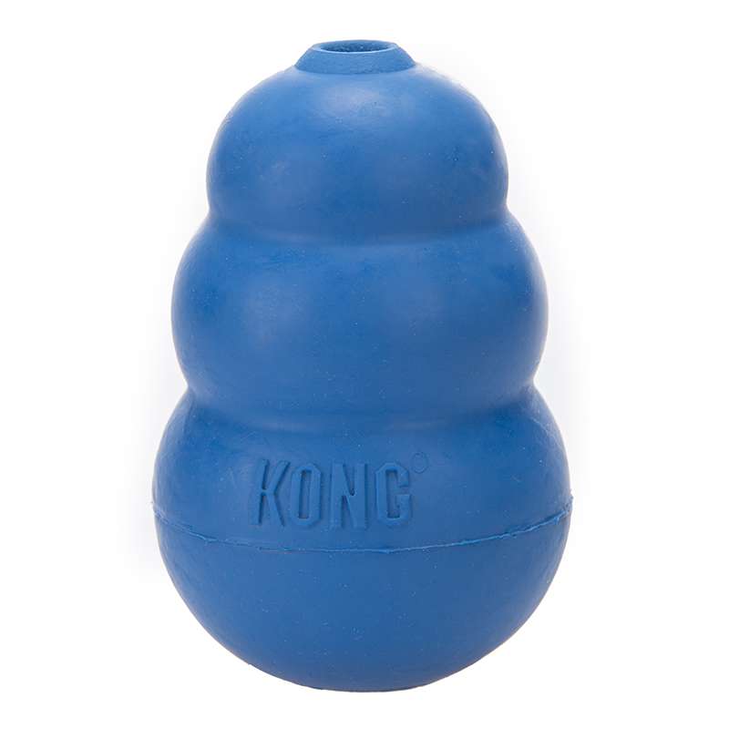 Kong Toy